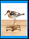 	Sandpiper on Sandstone - A. T15 Bovano Tabletop Sculpture	