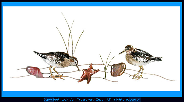 Sandpipers with Seashells at the Seashore W319 Bovano Wall Art