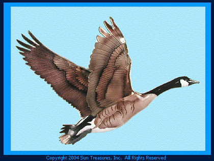 Bovano Wall Sculpture. Majestic Canada Goose  W8000