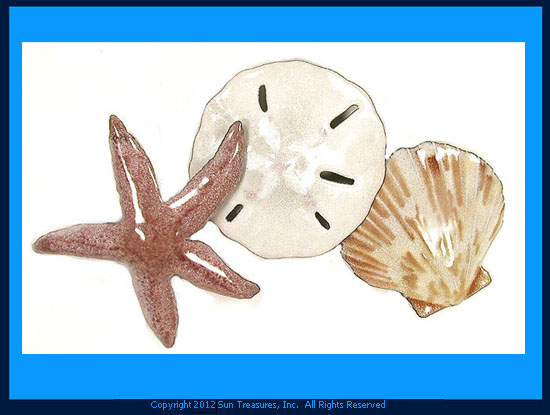 Starfish Sand Dollar Seashell W1016 Bovano of Cheshire Wall Art