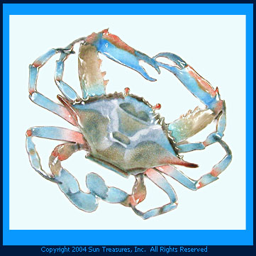 Blue Crab Wall Art. Bovano of Cheshire Sculpture. W189B