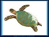 	Sea Turtle Single - Mini W629 Wall Art Bovano of Cheshire	