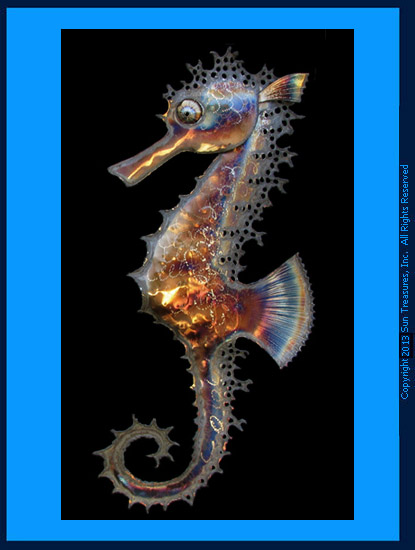 Gary Caldwell Seahorse Facing Left. Metal Wall Sculpture